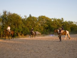 WEB_IMG-7154